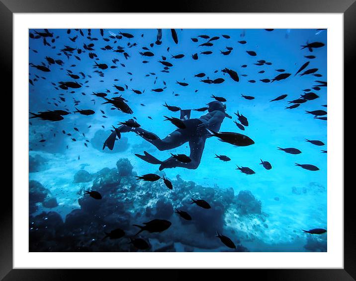 Snorkelling the Blue Room Framed Mounted Print by Gail Johnson