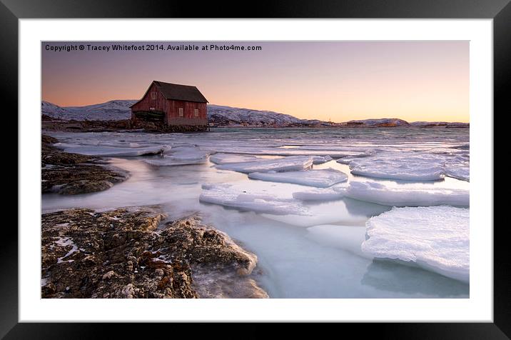 Floating Ice Framed Mounted Print by Tracey Whitefoot