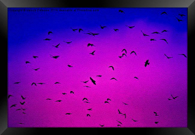 Flying Flock Framed Print by Valerie Paterson