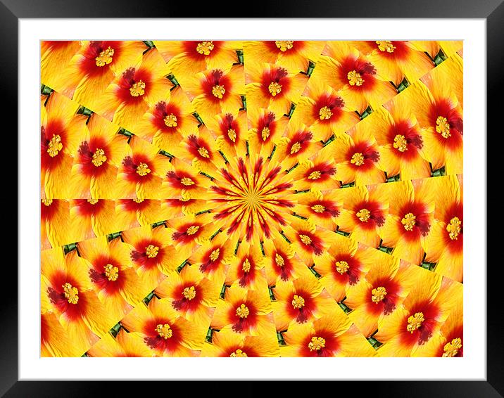 Yellow Flower-An Abstract Framed Mounted Print by Susmita Mishra