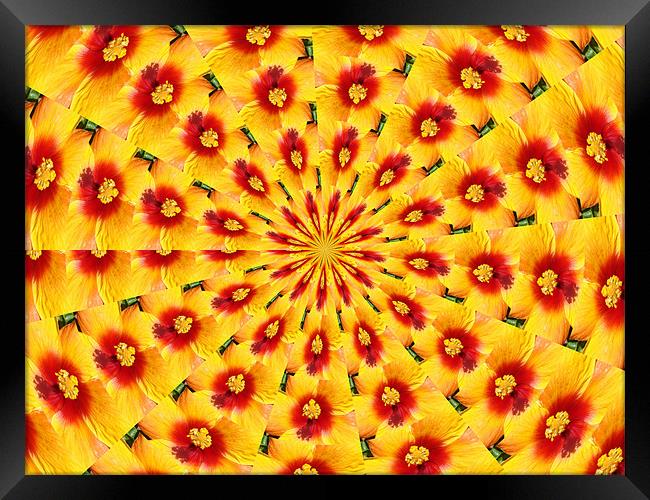 Yellow Flower-An Abstract Framed Print by Susmita Mishra