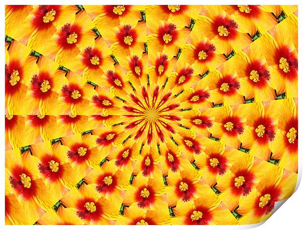 Yellow Flower-An Abstract Print by Susmita Mishra