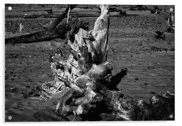 Beached Driftwood Acrylic by Ian Pettman