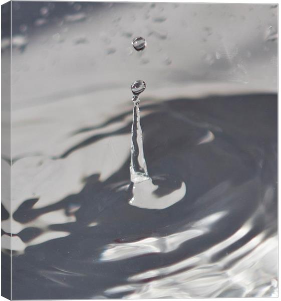 WATER DROP Canvas Print by David Pacey