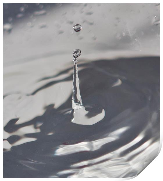 WATER DROP Print by David Pacey