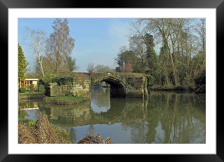 Great Bridge, Warwick Framed Mounted Print by Tony Murtagh