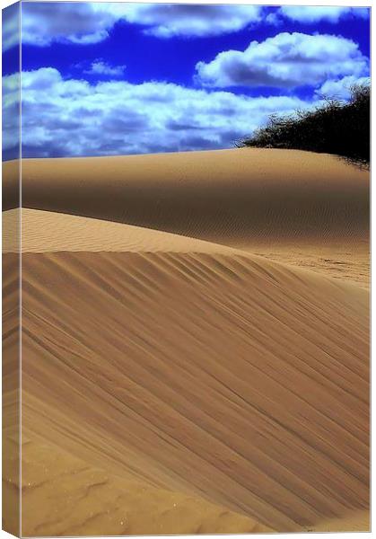 Desert Dunes Canvas Print by Brian  Raggatt
