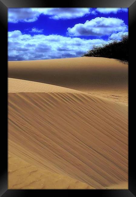 Desert Dunes Framed Print by Brian  Raggatt
