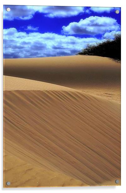 Desert Dunes Acrylic by Brian  Raggatt