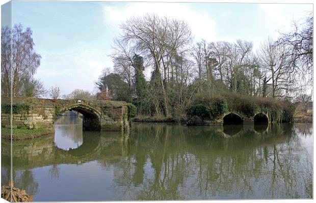 Remains of Old Bridge Warwick Canvas Print by Tony Murtagh