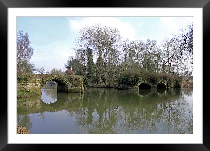 Remains of Old Bridge Warwick Framed Mounted Print by Tony Murtagh