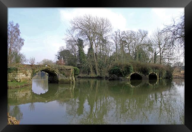 Remains of Old Bridge Warwick Framed Print by Tony Murtagh