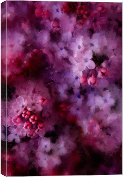 Painted Lilac Canvas Print by Ann Garrett