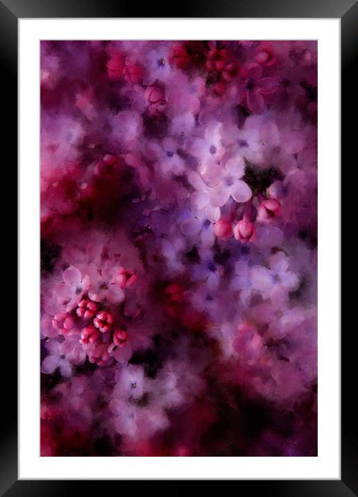Painted Lilac Framed Mounted Print by Ann Garrett