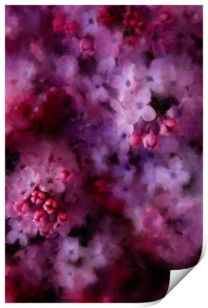 Painted Lilac Print by Ann Garrett