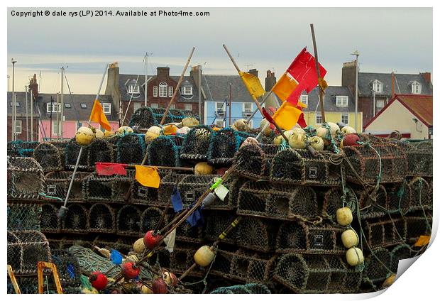 arbroath harbor Print by dale rys (LP)