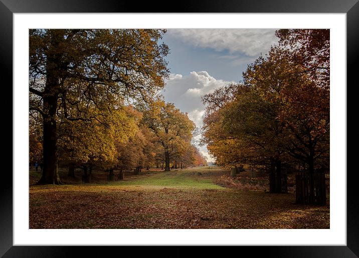 Autumn View Framed Mounted Print by Sean Wareing