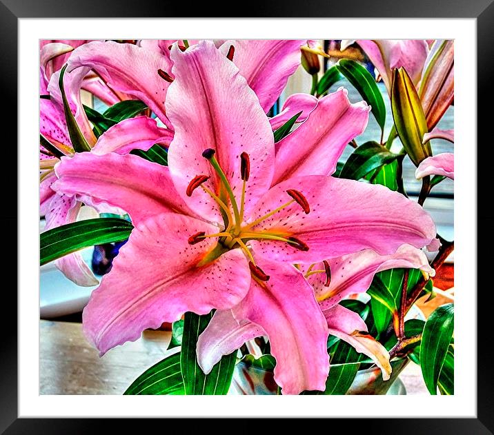 LILY THE PINK Framed Mounted Print by len milner