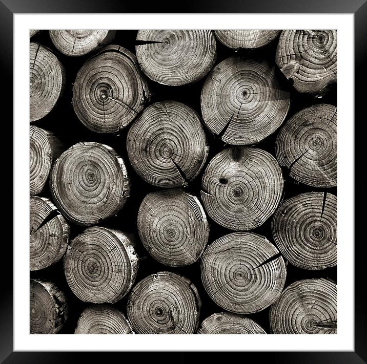 logs Framed Mounted Print by Heather Newton