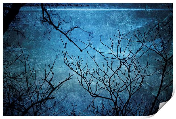 Branches In Blue Print by Annabelle Ward