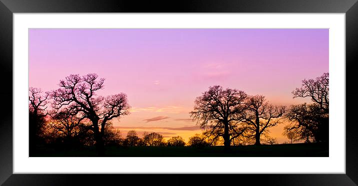 Sunset in Windsor Great Park Framed Mounted Print by Steve Hughes