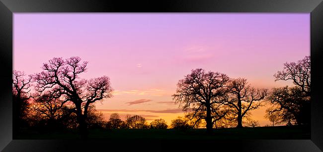 Sunset in Windsor Great Park Framed Print by Steve Hughes