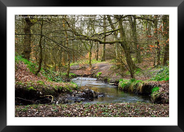 Hopwood woods, nature reserve Framed Mounted Print by Fine art by Rina