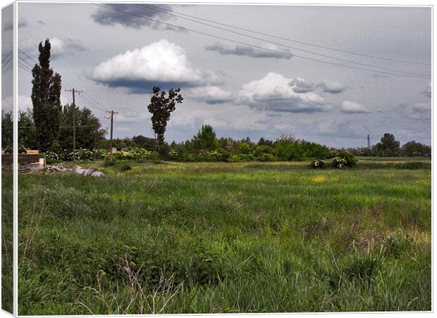 field on the village Canvas Print by Erzsebet Bak