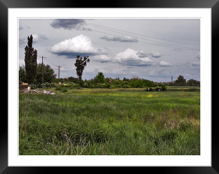 field on the village Framed Mounted Print by Erzsebet Bak