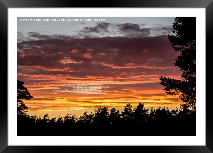 New Forest Sunset Framed Mounted Print by Phil Wareham