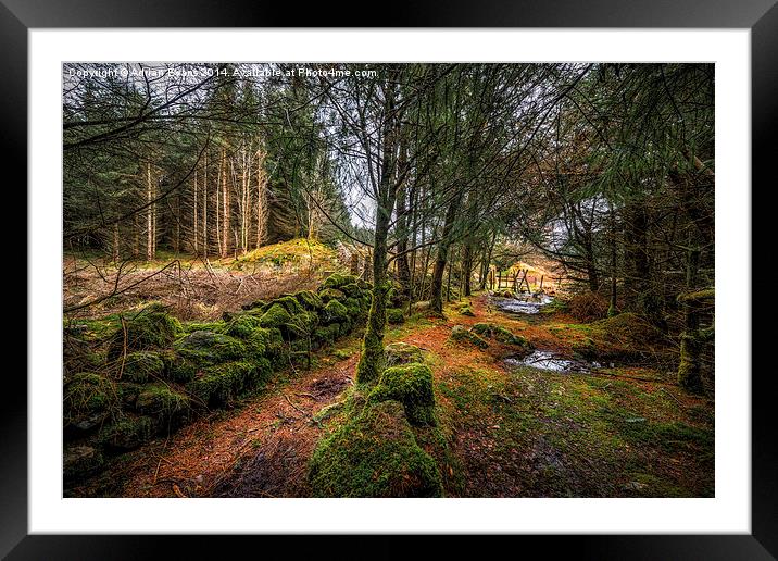 Into the Woods Framed Mounted Print by Adrian Evans