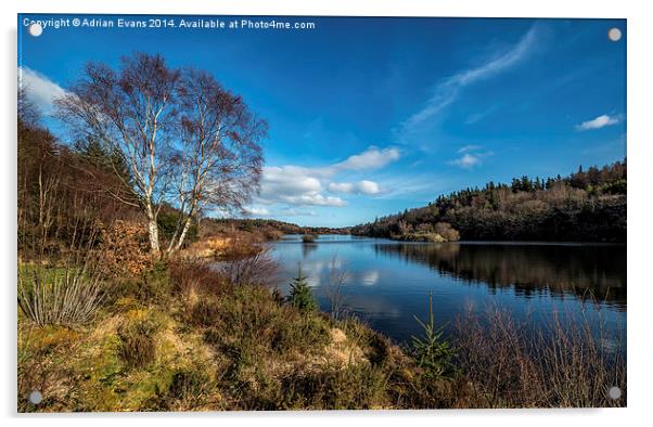 Lake Elsi Betws-y-Coed Wales Acrylic by Adrian Evans