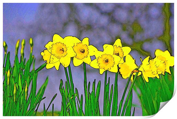 DAFFODILS IN A ROW Print by David Atkinson