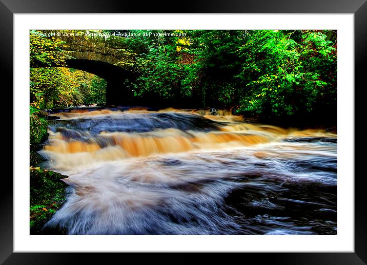 Dean Park River Framed Mounted Print by Valerie Paterson