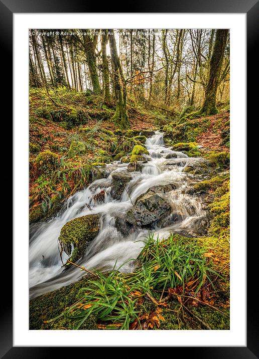 Forest Stream Framed Mounted Print by Adrian Evans
