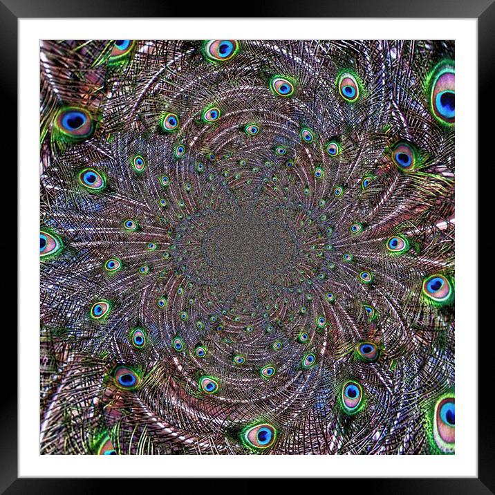 Peacock Vortex Framed Mounted Print by Scott Anderson