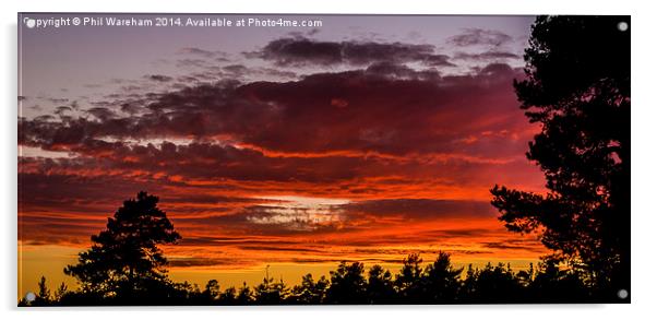 Sunset from Deerleap Acrylic by Phil Wareham