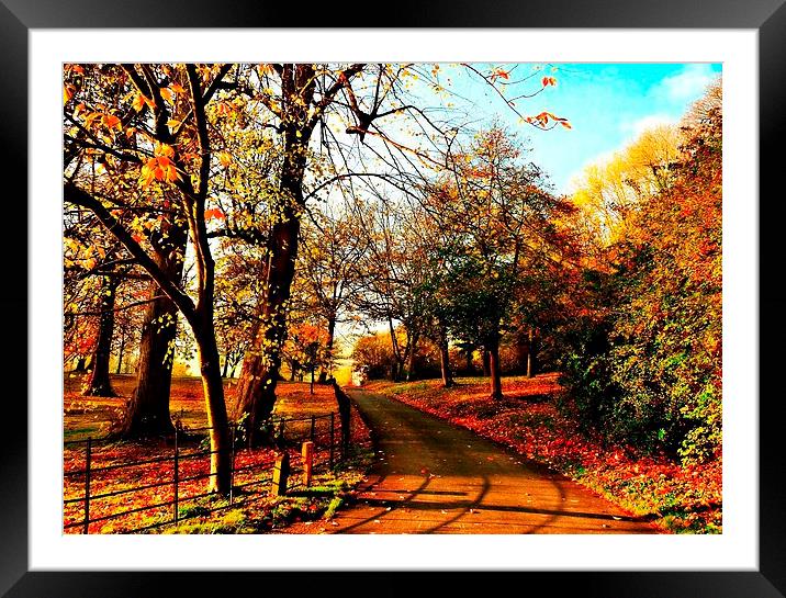 Road Trip Through Autumn.  Framed Mounted Print by Jason Williams