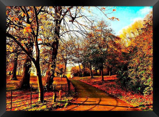 Road Trip Through Autumn.  Framed Print by Jason Williams