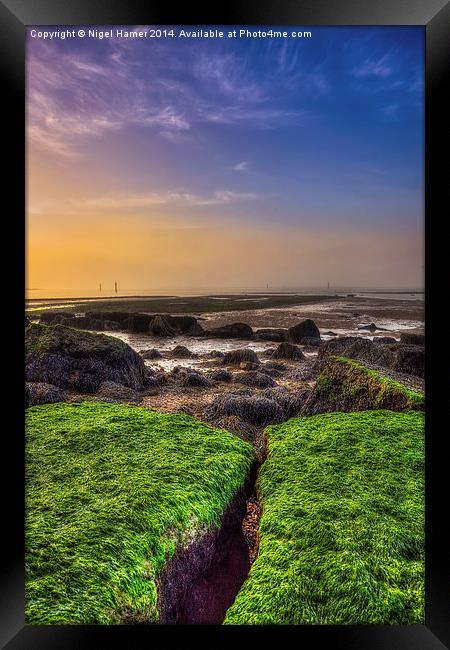 Moss On The Lawn Framed Print by Wight Landscapes