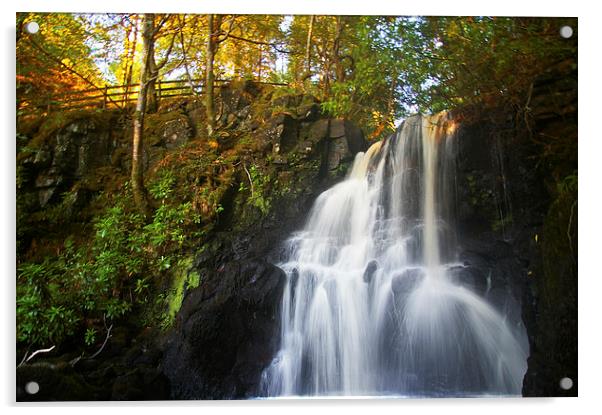 Scottish Waterfall in Autumn Acrylic by Edward Dyer