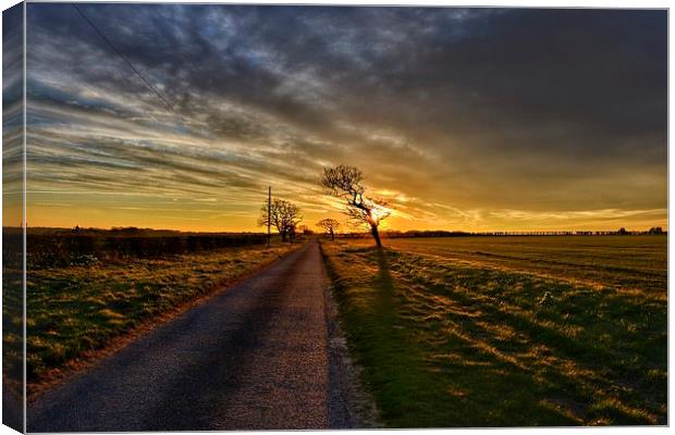 The road in to Ringstead Canvas Print by Gary Pearson