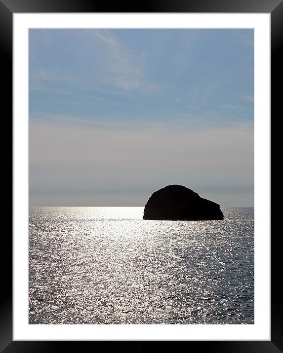 Gull Rock, Trebarwith Strand, Cornwall Framed Mounted Print by Elaine Davis