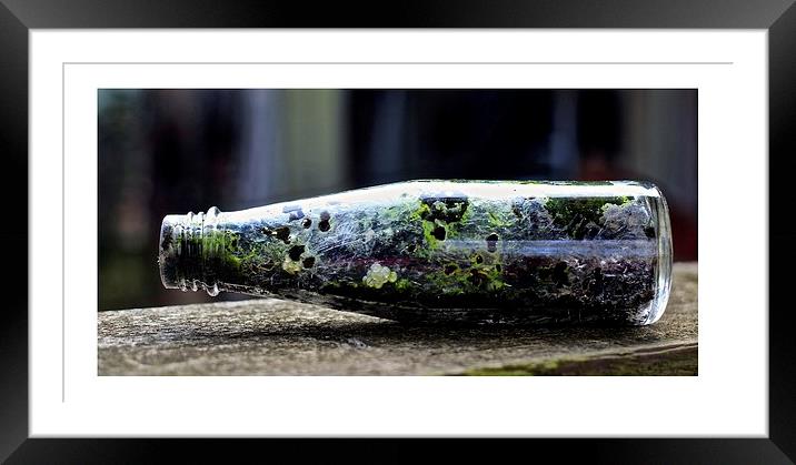 message in a bottle Framed Mounted Print by jane dickie