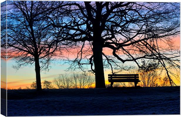 sunrise in the park Canvas Print by claire norman