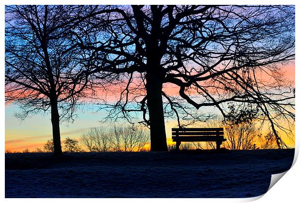 sunrise in the park Print by claire norman