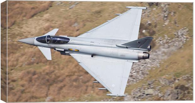 RAF Typhoon Canvas Print by Rory Trappe