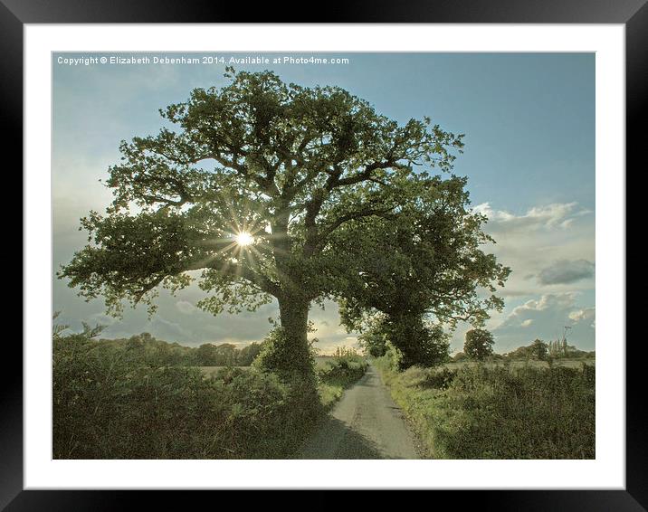 Brilliant sunburst in an Oak tree in a country lan Framed Mounted Print by Elizabeth Debenham