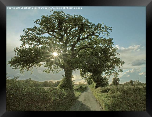 Brilliant sunburst in an Oak tree in a country lan Framed Print by Elizabeth Debenham