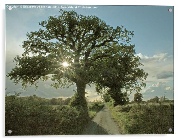 Brilliant sunburst in an Oak tree in a country lan Acrylic by Elizabeth Debenham